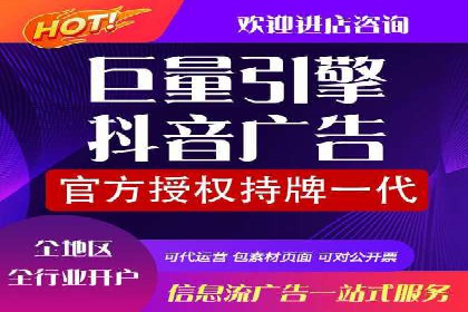 百度竞价广告投放全解析：成功案例揭秘